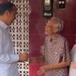 PDIP Ingatkan Pendukung Jokowi agar Tidak Emosional soal Pernyataan Megawati tentang Ijazah Palsu