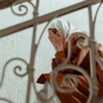 Gangguan Mental: Bukan Kekurangan Iman, Tapi Isu Kesehatan yang Perlu Diperbincangkan dalam Perspektif Islam