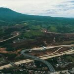 Waskita Karya (WSKT) Bangun Jembatan Khusus Satwa di IKN Senilai Rp 2,6 Miliar